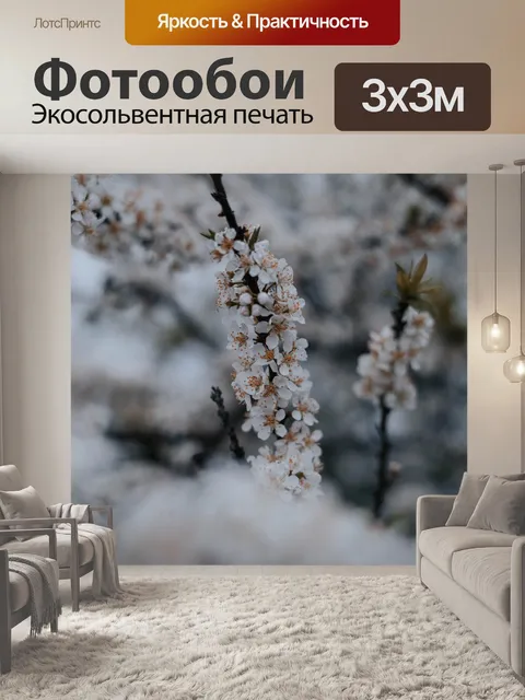 Фотообои Цветы