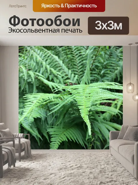 Фотообои Лист