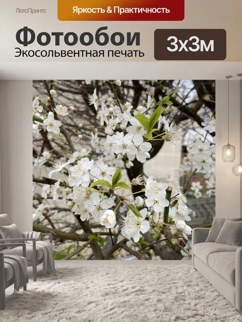 Фотообои Цвести