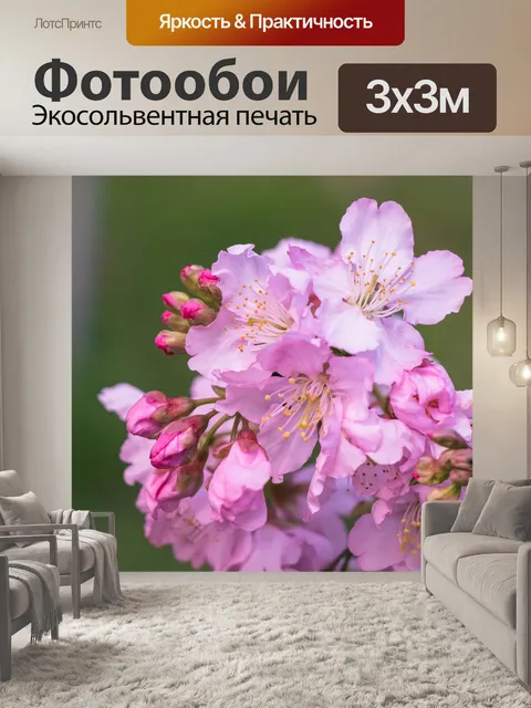 Фотообои Вишни в цвету