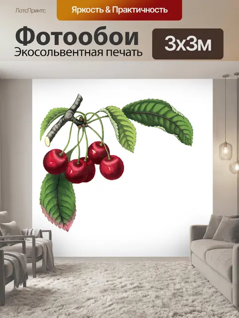 Фотообои Вишневый фрукт винтажный клипарт