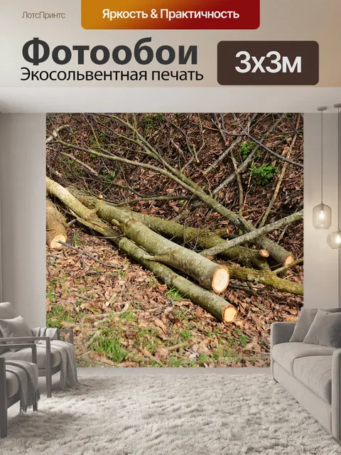 Фотообои Шины деревьев