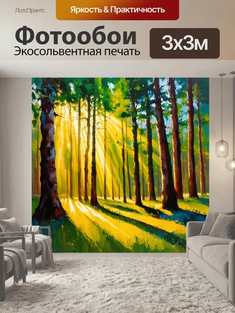 Фотообои солнечные лучи проникают через густые деревья леса