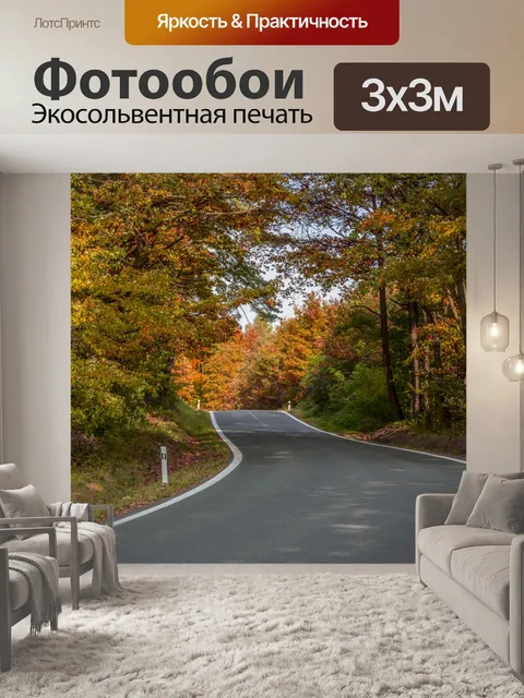 Фотообои Осенний лес