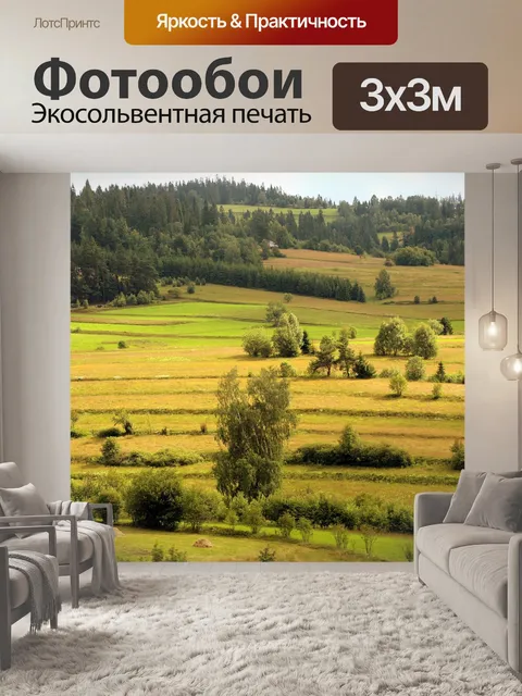 Фотообои Вид