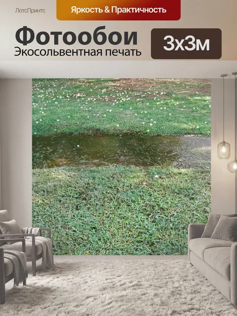 Фотообои утечка воды на бетонной дорожке
