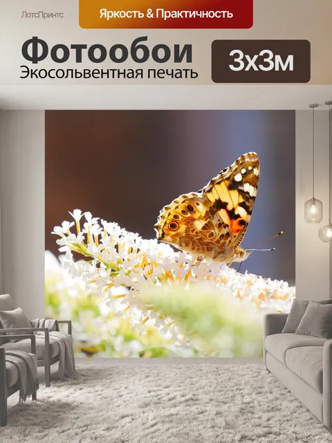 Фотообои Бабочка