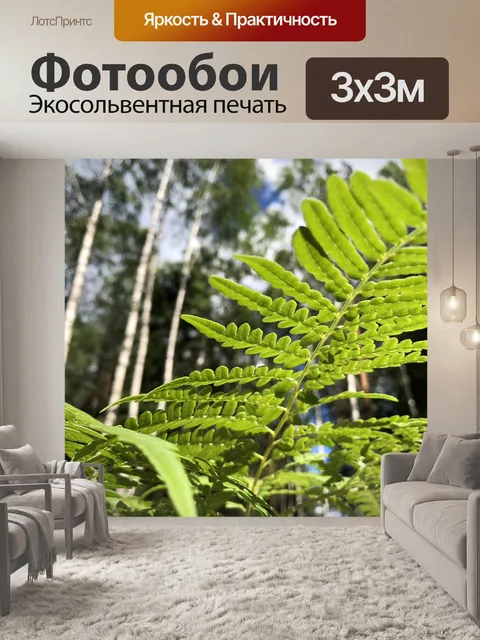 Фотообои Папоротник