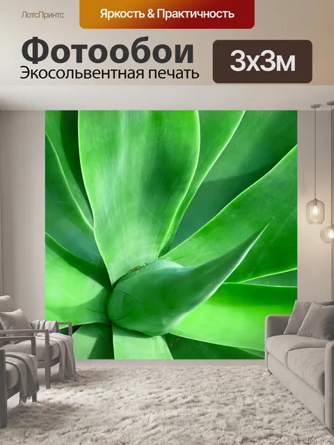 Фотообои зеленая агава