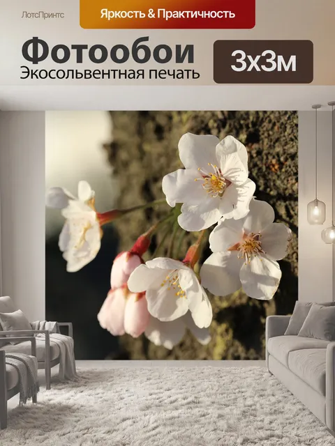 Фотообои Цветы