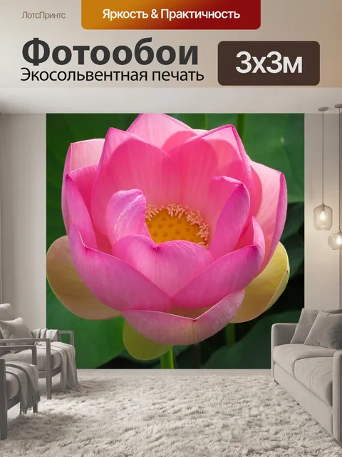 Фотообои Цветок