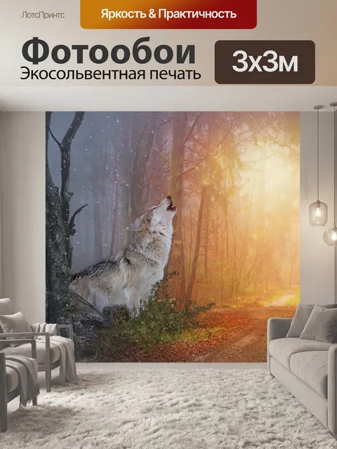 Фотообои Волк