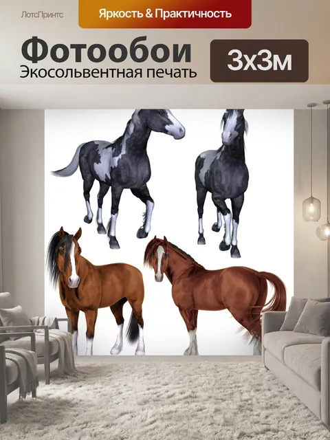 Фотообои Лошадь