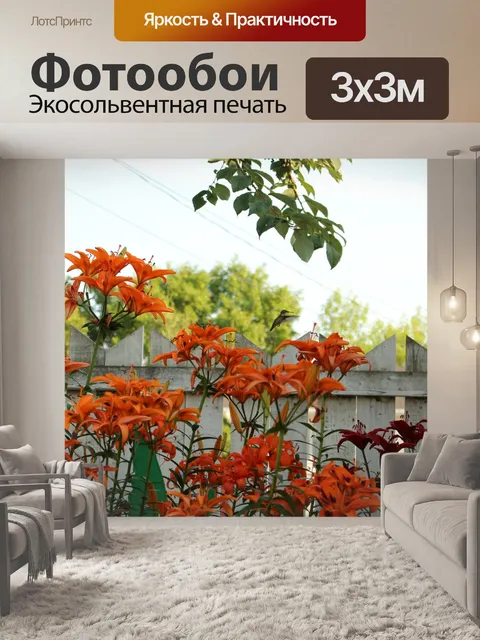Фотообои Цветы лилии Цвет Hummingbird