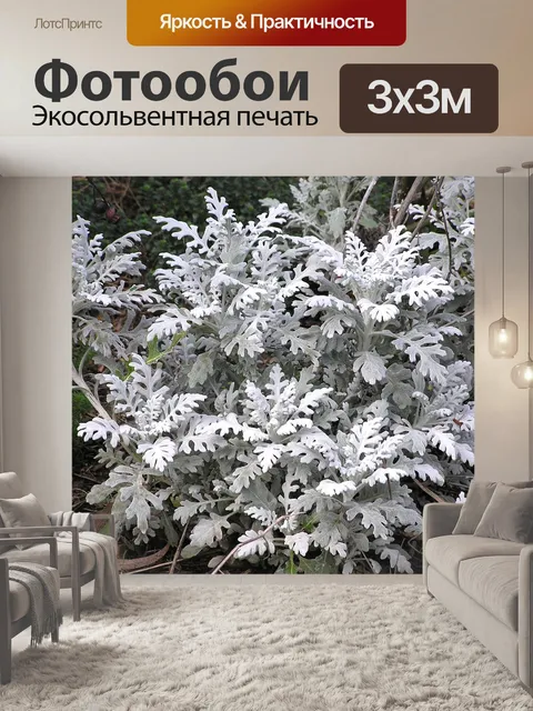 Фотообои Серебро