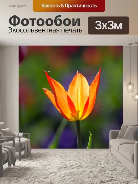 Фотообои Тюльпаны