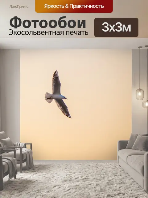 Фотообои Чайка