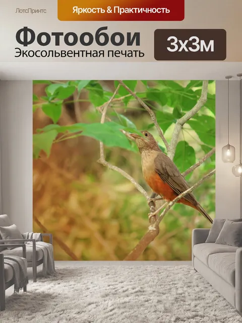 Фотообои Птица