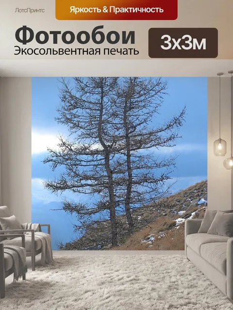 Фотообои Деревья