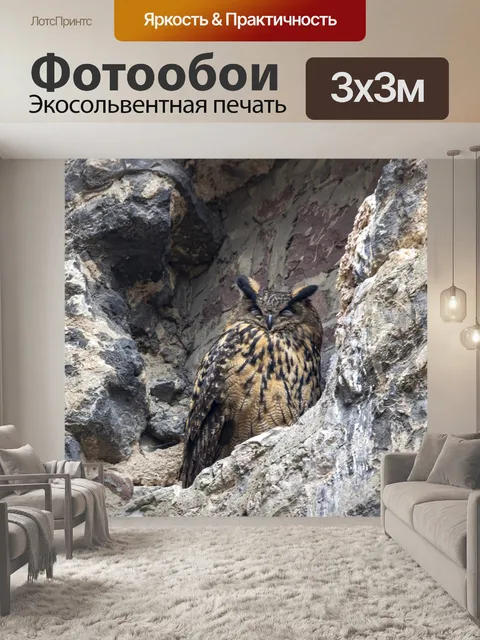 Фотообои Птица
