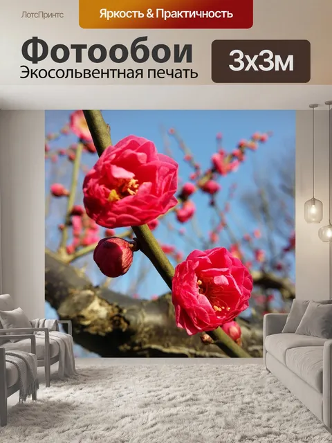 Фотообои Цветок