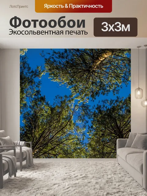 Фотообои Сосны