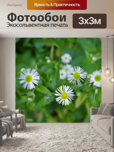 Фотообои Цветы