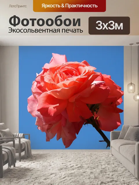 Фотообои Розовый