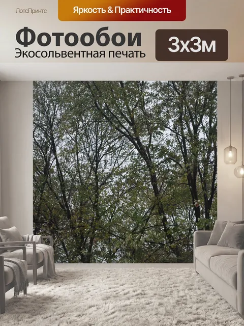 Фотообои Tree background