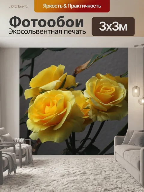 Фотообои желтые розы на кусте