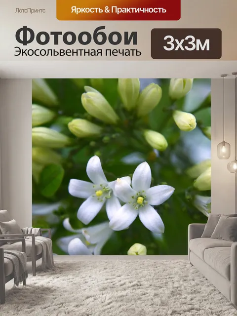 Фотообои Белые маленькие цветы 8