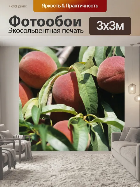 Фотообои персики