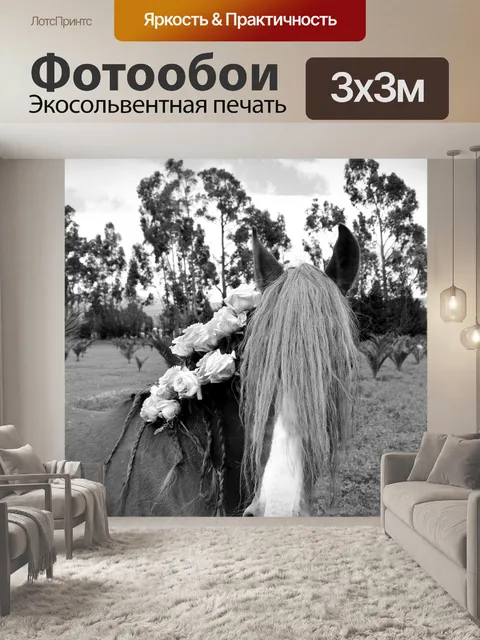 Фотообои Лошадь