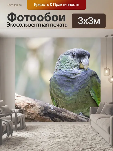 Фотообои Птица