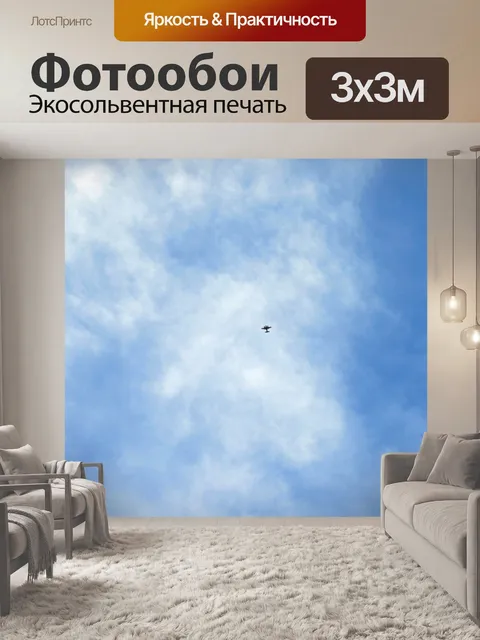 Фотообои туманно облака и высокой самолет