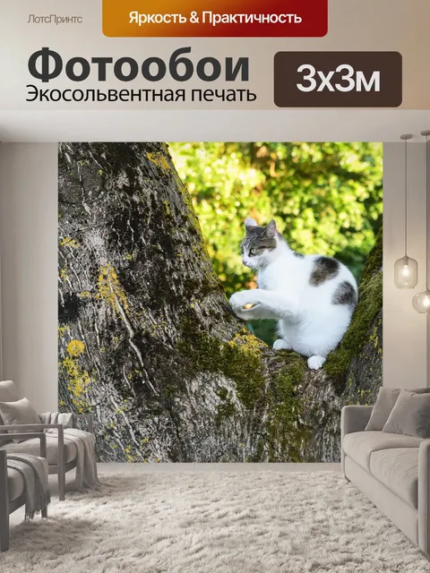 Фотообои Кошка