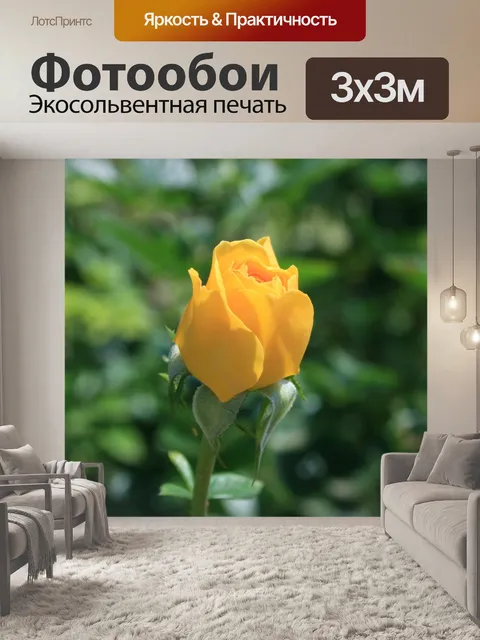 Фотообои темно-желтый бутон