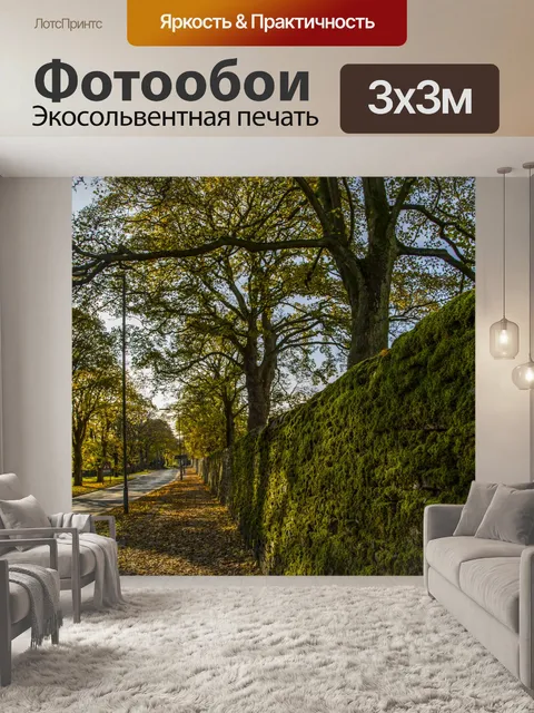 Фотообои Осень Путь