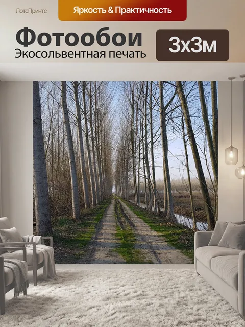 Фотообои Деревья