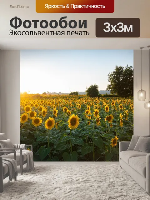 Фотообои Подсолнухи