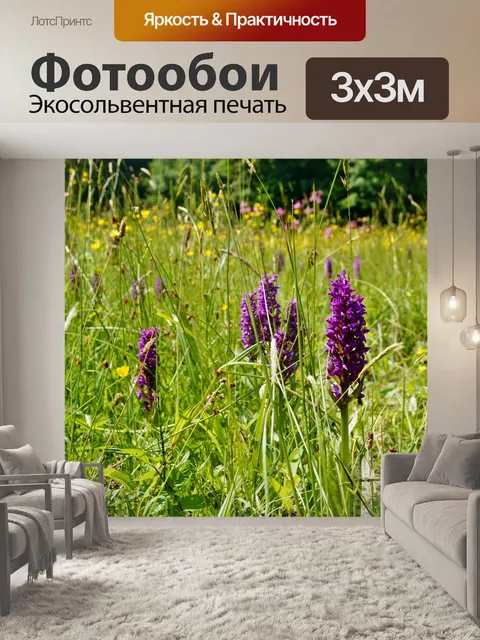 Фотообои Орхидея