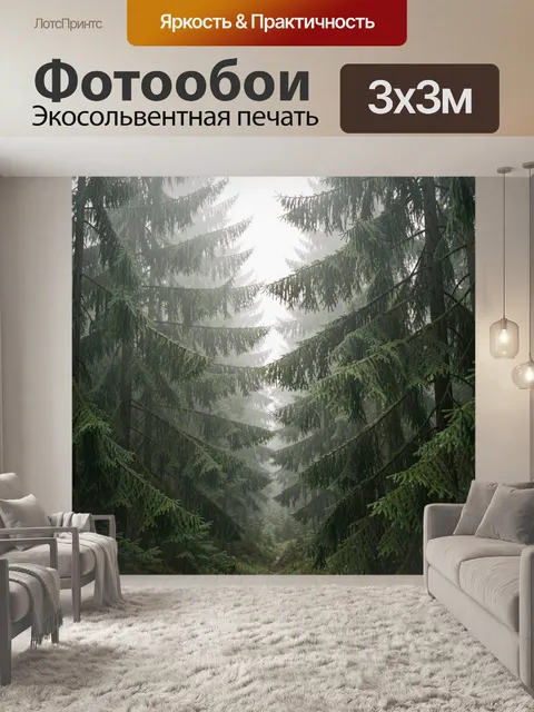 Фотообои Туманный еловый лес
