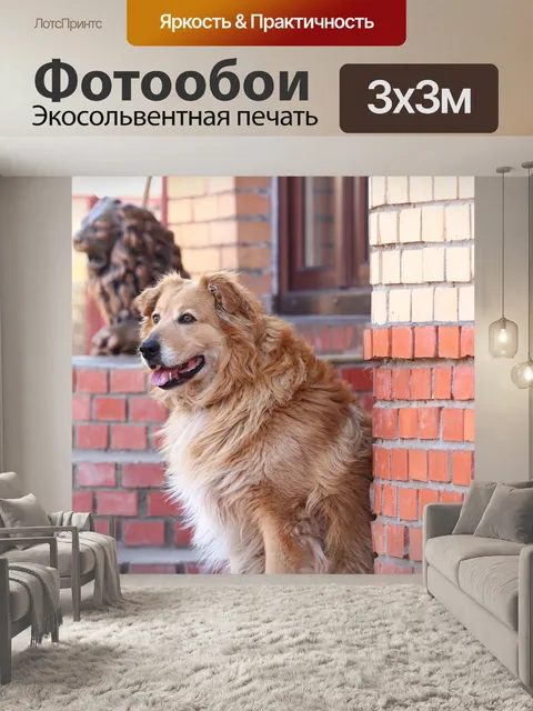 Фотообои Собака