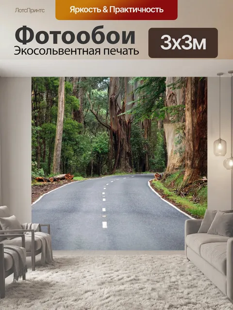 Фотообои Дорога