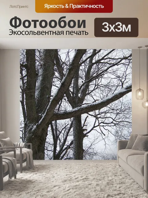 Фотообои Деревья