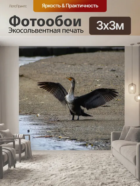 Фотообои Животное