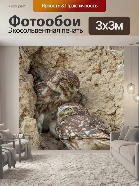 Фотообои Пара