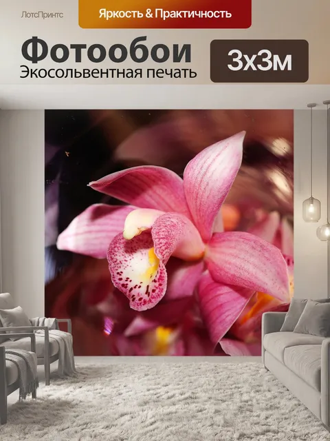 Фотообои Орхидея