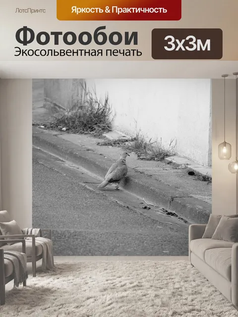 Фотообои Горлицы на улице