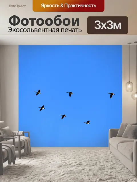 Фотообои Гуси